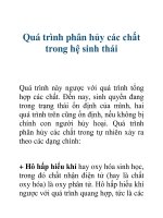 Quá trình phân hủy các chất trong hệ sinh thái 