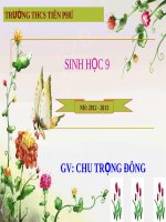 Bài 2 lai một cặp tính trạng 