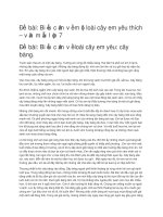 Biểu cảm về một loài cây em yêu thích 