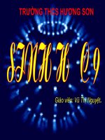 Bài giảng điện tử ADN thao giảng sinh học 9 (51) 