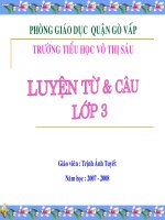 Luyen tu va cau t24 lop 3