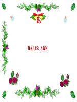 Bài giảng điện tử ADN thao giảng sinh học 9 (17) 