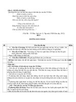 NL văn học   NGUYỄN DU 