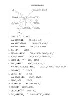 Sơ đồ phản ứng hóa học 