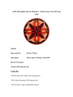 Kiến kinh nghiệm môn mỹ thuật lớp 5 – bài học trang trí trục đối xứng (tiếp) 