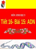 Bài giảng điện tử ADN thao giảng sinh học 9 (55) 
