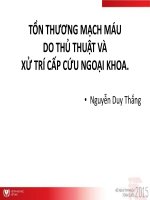 Tổn Thương Mạch Máu Do Thủ Thuật Và Xử Trí Cấp Cứu Ngoại Khoa