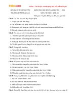 Đề thi học kì 1 môn Tin học lớp 10 trường THPT Trại Cau, Thái Nguyên năm học 2015 - 2016