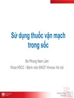 Sử dụng thuốc vận mạch trong sốc