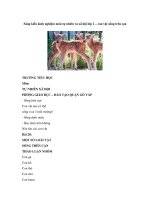 Sáng kiến kinh nghiệm môn tự nhiên và xã hội lớp 2 – con vật sống trên cạn 