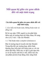 Mối quan hệ giữa các gene allele đối với một tính trạng 