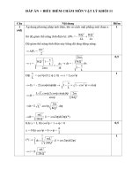 ĐỀ THI HỌC SINH GIỎI Li 11 HDC vinh phuc