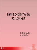 Phân tích điện tâm đồ rối loạn nhịp