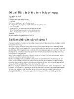 Biểu cảm về cây phượng 