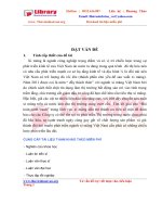 Một số giải pháp nâng cao năng lực cạnh tranh của Công ty Cổ phần Xi măng Bỉm Sơn