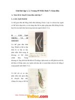 Giải bài tập trang 49 SGK sinh học lớp 7 giun đũa 