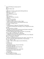 Giáo án bồi dưỡng học sinh giỏi ngữ văn 6