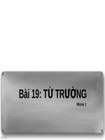 Thực Hành Lý Bài 19 Từ Trường