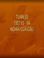 Tuan20  nghia cua cau90 