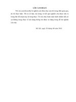 Báo cáo PPNCKH: Công tác Đào tạo bồi dưỡng cán bộ, công chức trên địa bàn huyện Thạch An– Tỉnh Cao Bằng: thực trạng và giải pháp