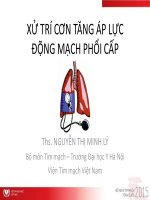 Xử trí cơn tăng áp lực động mạch phổi cấp