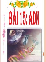 Bài giảng điện tử ADN thao giảng sinh học 9 (46) 