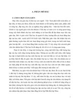 SKKN Một số kinh nghiệm trong công tác chủ nhiệm lớp theo mô hình VNEN