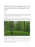 văn mẫu   phân tích hình tượng cây xà nu trong truyện ngắn rừng xà nu của nguyễn trung thành 