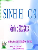 Bài 9 nguyên phân 