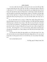 báo cáo nghiên cứu khoa học: Thực trạng và giải pháp nâng cao hiệu quả công tác đào tạo và phát triển nguồn nhân lực tại công ty TNHH Thực phẩm Quang Hiếu