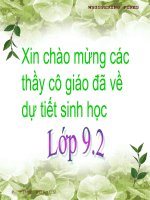 Bài giảng điện tử ADN thao giảng sinh học 9 (12) 