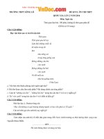 đề thi thử thpt quốc gia năm 2016 môn ngữ văn truong thpt song lo lan 2 