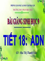 Bài giảng điện tử ADN thao giảng sinh học 9 (39) 