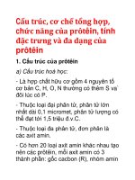 Cấu trúc, cơ chế tổng hợp, chức năng của prôtêin 