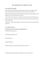 truyen nhiet ong chum 