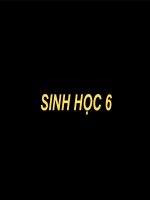 Sinh học 6, đặc điểm của cơ thể sống
