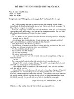 NL văn học  tây sơn 