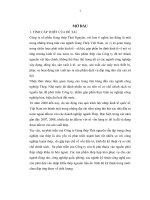 Sử dụng nguồn nhân lực của Công ty cổ phần Gang thép Thái nguyên