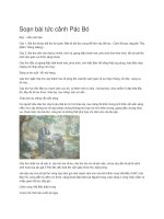 Soạn bài tức cảnh pác bó 