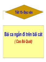 Tuan4  bai ca ngan di tren bai cat63 