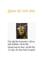 Quan hệ sinh thái 