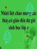 Bài giảng điện tử ADN thao giảng sinh học 9 (14) 