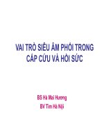 VAI TRÒ SIÊU ÂM PHỔI TRONG CẤP CỨU VÀ HỒI SỨC, BS Hà Mai Hương, BV Tim Hà Nội