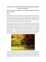 Văn mẫu lớp 8: Suy nghĩ của em về hình ảnh hai cây phong trong tác phẩm Người thầy đầu tiên của Aimatốp