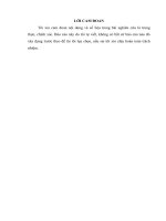 CÔNG tác TUYỂN DỤNG NHÂN sự tại CÔNG TY TNHH BÁNH NGỌT CJ VIỆT NAM