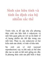 Sinh sản hữu tính và tính ổn định của bộ nhiễm sắc thể 