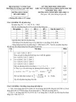 Hoa 11 HDC VCVB 