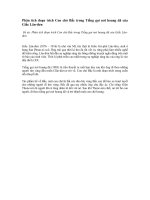 Phân tích hình ảnh con chó bấc trong truyện ngắn tiếng gọi nơi hoang dã của giắc lân đơn 