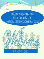 Bài giảng điện tử ADN thao giảng sinh học 9 (13) 