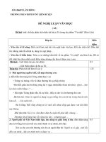 NL văn học   TRUONG DTNT LIÊN HUYỆN 